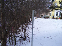 Fence Gallery Photo - Steel Posts for Wood 9.jpg